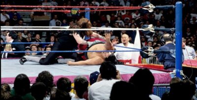 Royal Rumble, Undertaker, Mr. Fuji, Yokozuna, WWF